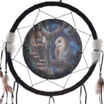 Dreamcatcher (Medium) - Lisa Parker Fairy Tales Owl & Fairy