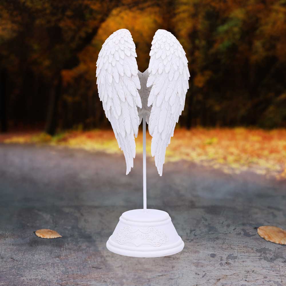 Angel Wings 26cm