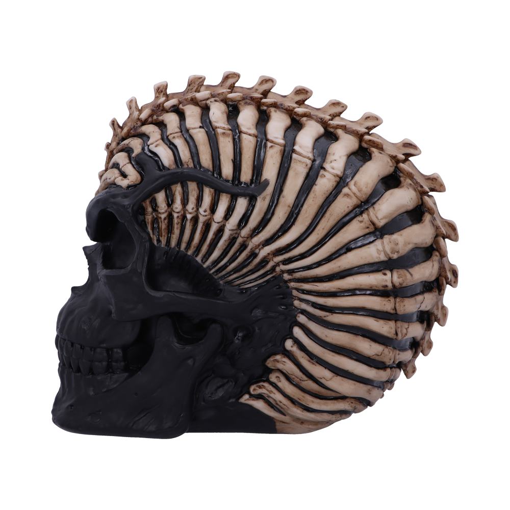 Spine Head Skull (JR) 18.5cm