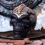 Spine Head Skull (JR) 18.5cm