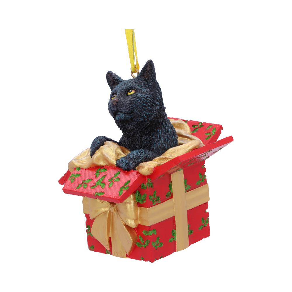 Present Cat Hanging Ornament (LP) 9cm