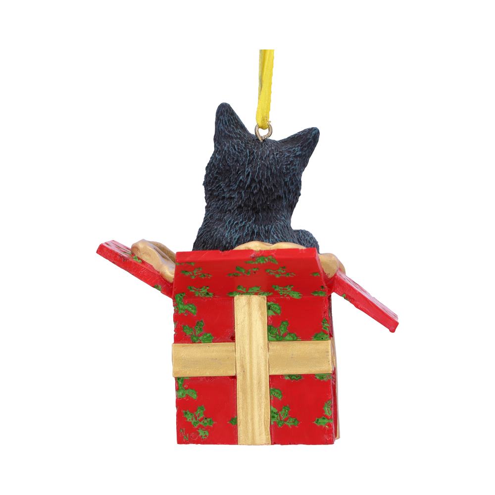 Present Cat Hanging Ornament (LP) 9cm