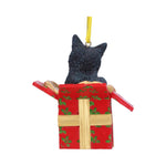 Present Cat Hanging Ornament (LP) 9cm