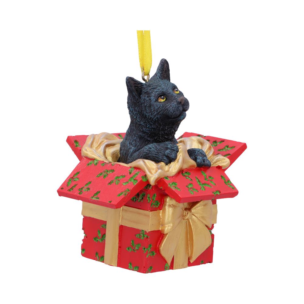 Present Cat Hanging Ornament (LP) 9cm