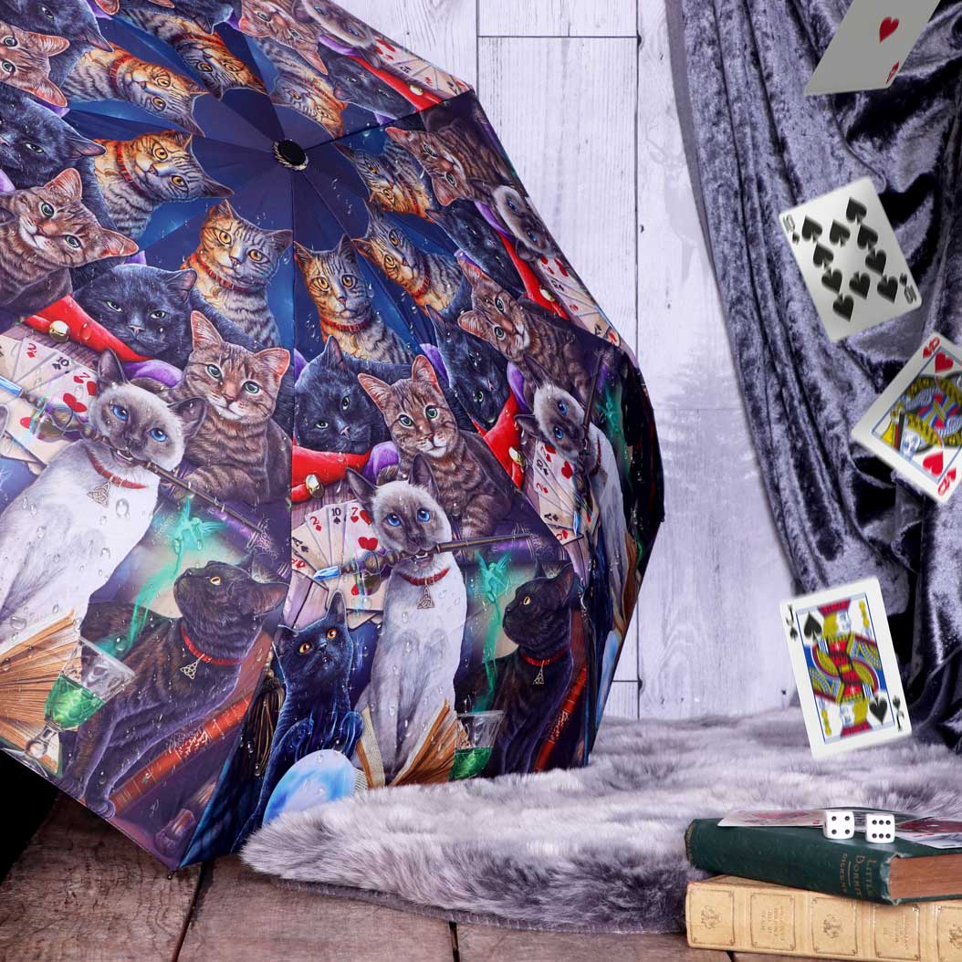 Magical Cats Umbrella (LP)