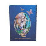 Fairy Whispers Journal (LP) 17cm