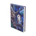 Fairy Tales Journal (LP) 17cm