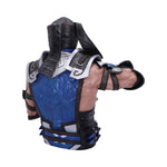 Mortal Kombat Sub-Zero Bust 29cm