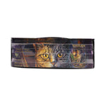 Protection Incense Sticks Lavender (LP)