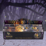 Protection Incense Sticks Lavender (LP)