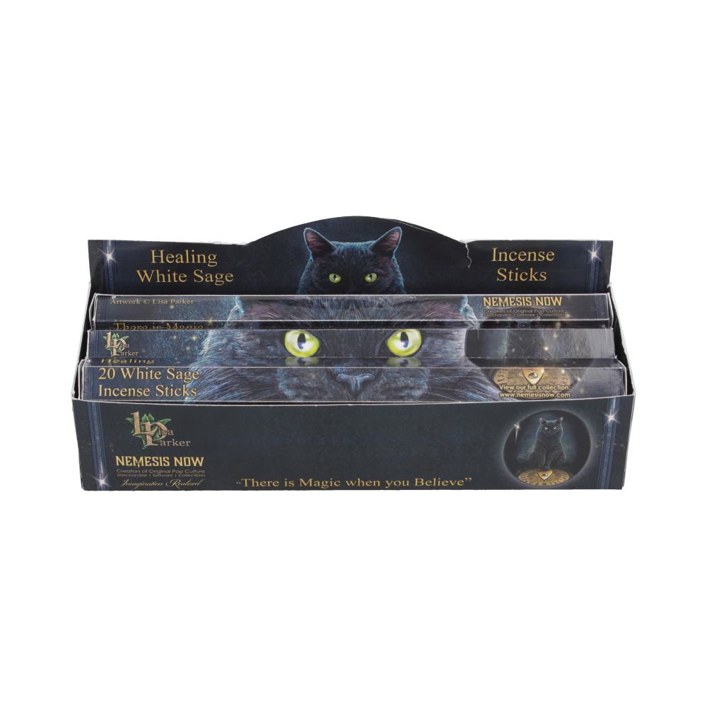 Healing Incense Sticks White Sage (LP)