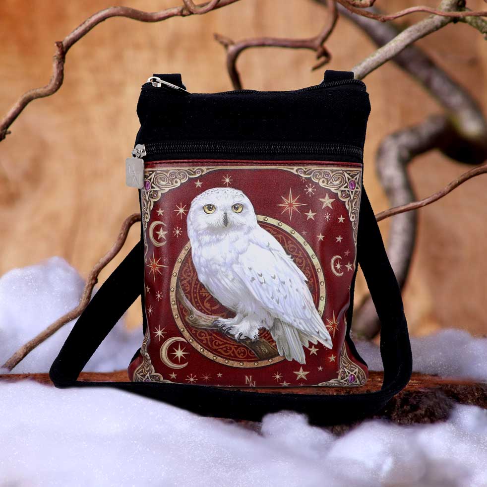 Magical Flight Shoulder Bag 23cm