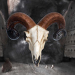 Rams Skull Medium 33cm