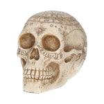 Astrological Skull 20cm