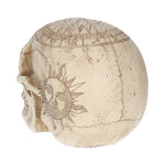 Astrological Skull 20cm