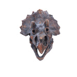 Triceratops Head 23cm