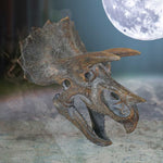 Triceratops Head 23cm