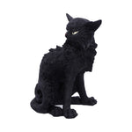 Salem (Small) 19.6cm