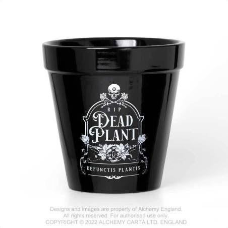 Dead Plant Plant Pot