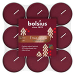 Bolsius Christmas Fragranced Tealights Pack of 18 (Winter Spices)