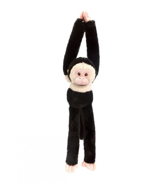 Keeleco Assorted Hanging Monkey (40cm)