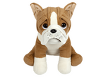 Bulldog Soft Toy (50cm)