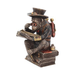 Chimpanzee Scholar 19.5cm