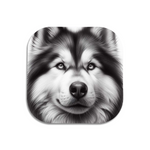 Black and White Dog Style 1 Wooden Coaster