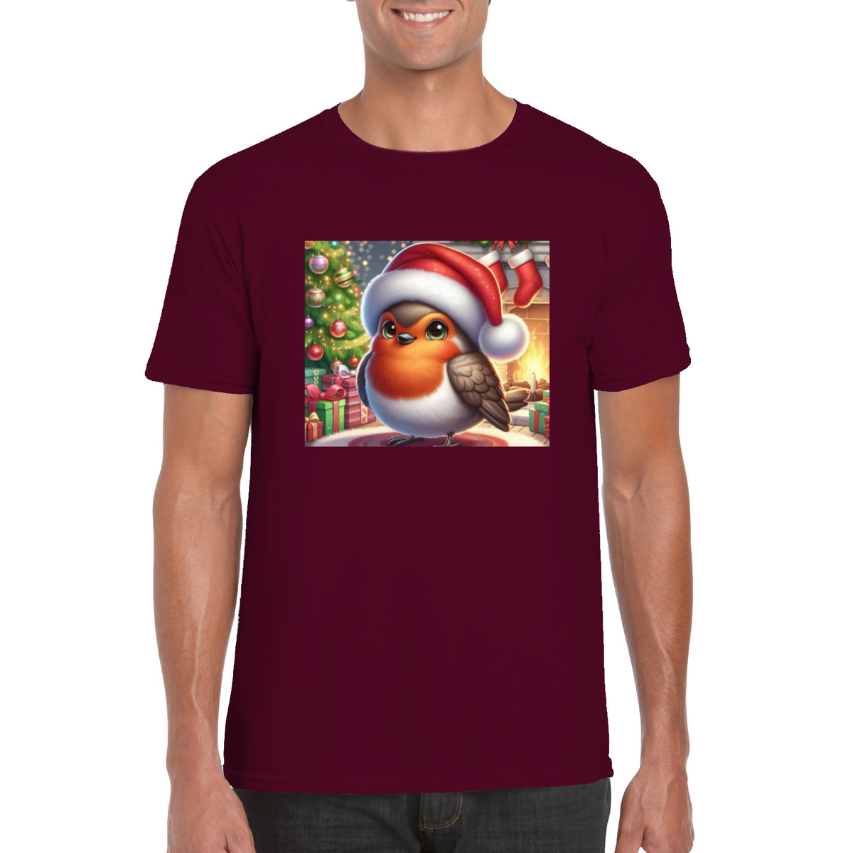 Christmas Robin 1