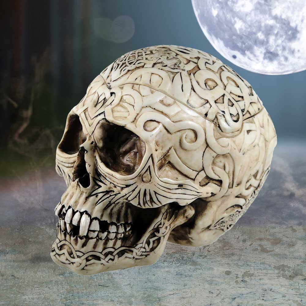 Celtic Skull Box 20cm