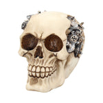 Clockwork Cranium 15cm