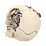 Clockwork Cranium 15cm