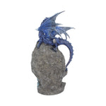 Cobalt Custodian 23cm