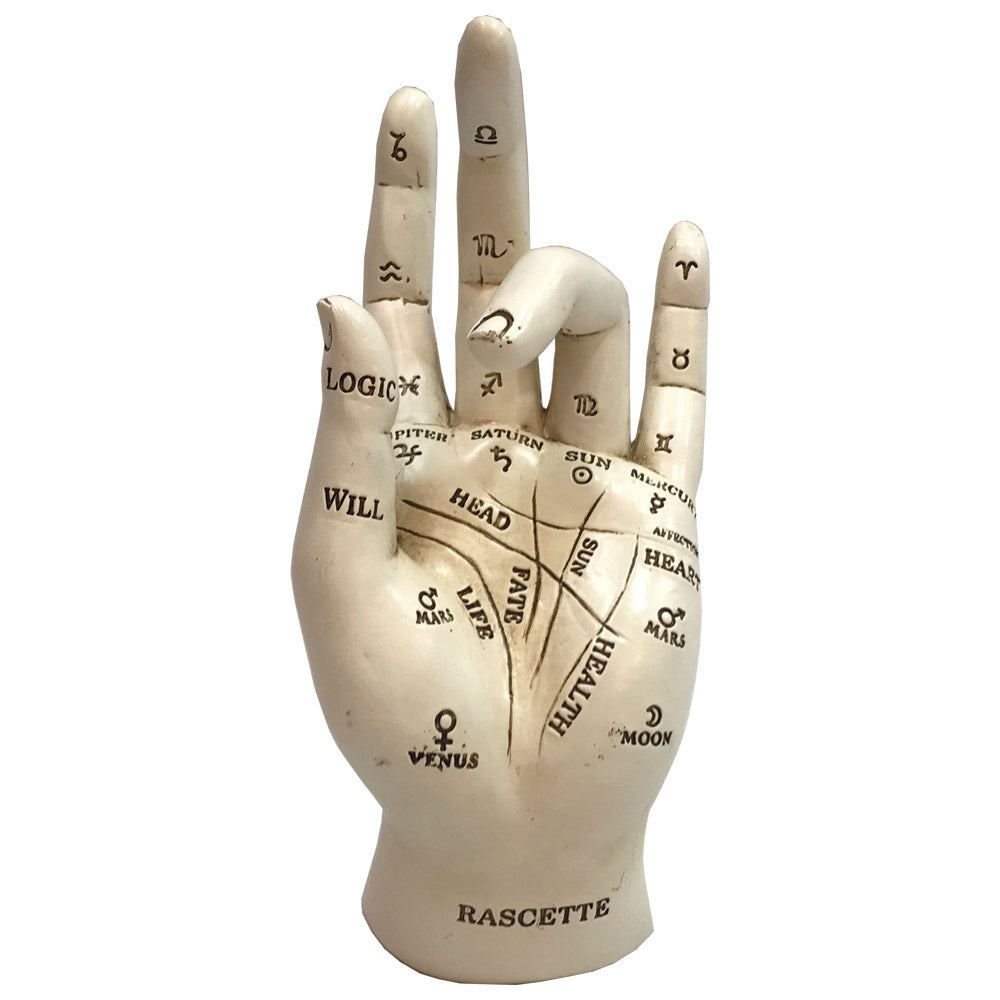 Palmistry 17.7cm