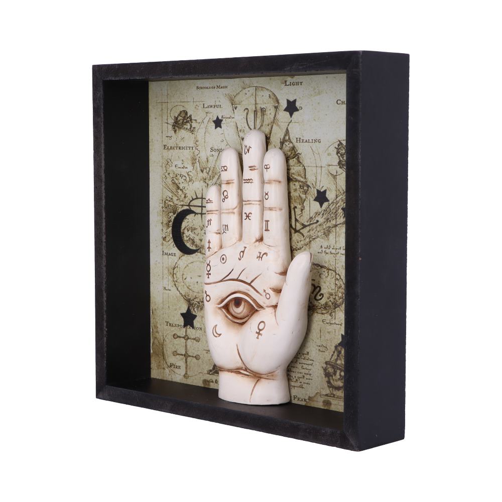 Palmistry Companion 20.2cm