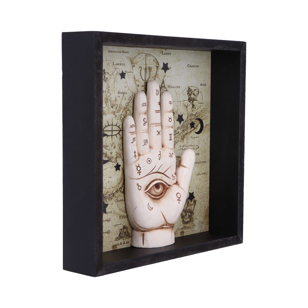 Palmistry Companion 20.2cm