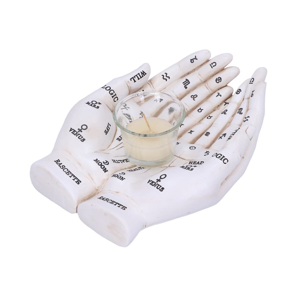 Palmist's Guide (White) 22.3cm