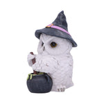 Owl Potion 17.5cm