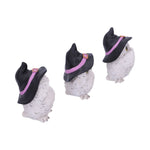 Three Wise Feathered Familiars 9cm