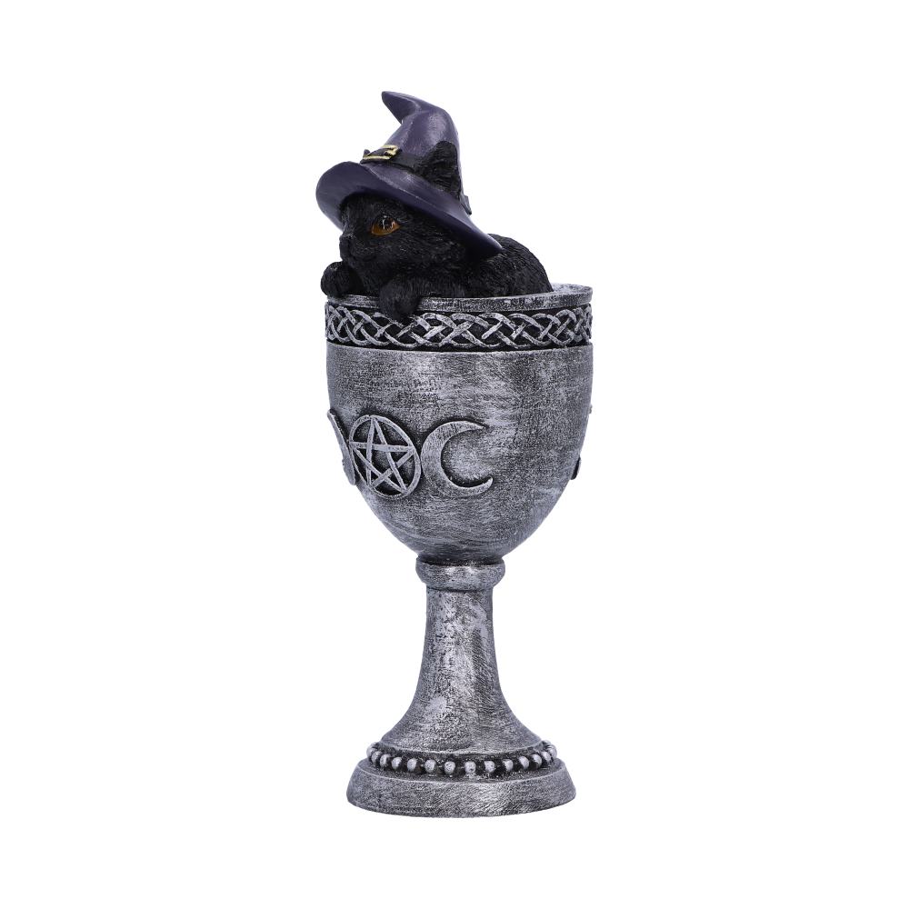 Coven Cup 15.7cm