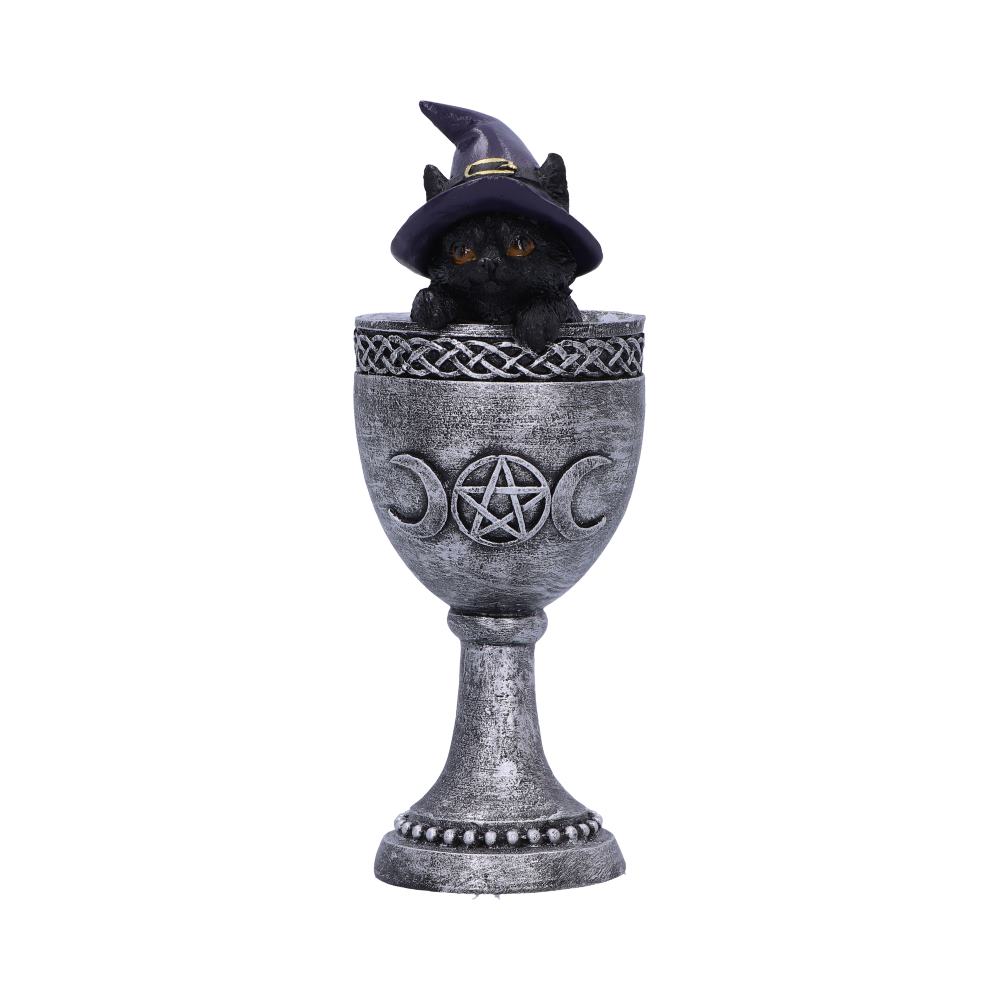 Coven Cup 15.7cm