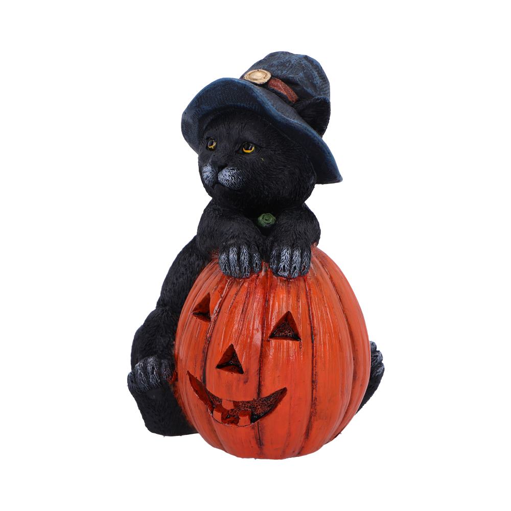 Trick or Treat 13cm