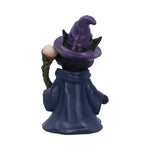 Whiskered Wizard 14cm