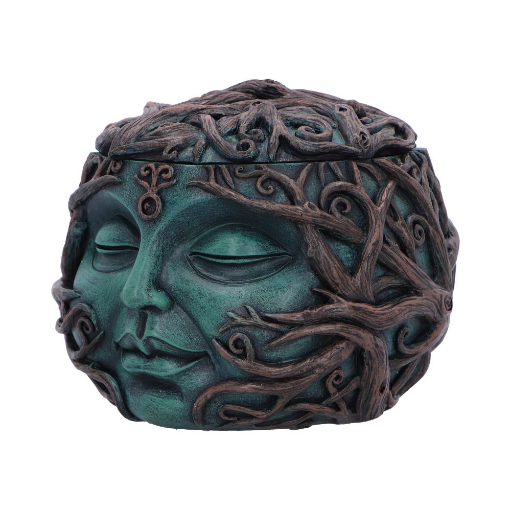 Tree Spirit Treasure Box 13cm