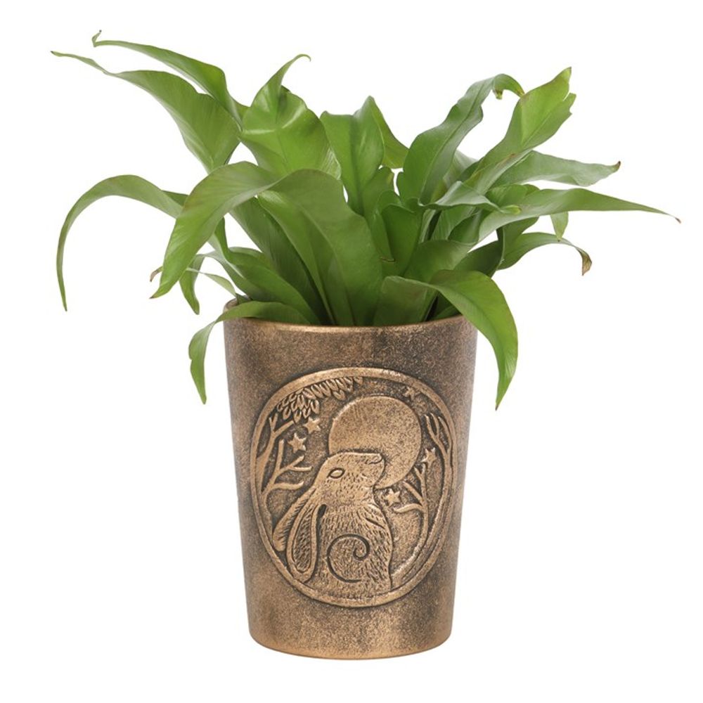 Moon Gazing HareBronze Terracotta Plant Pot by Lisa Parker