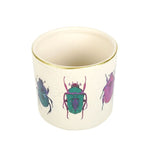 Off White Beetle Plant Pot