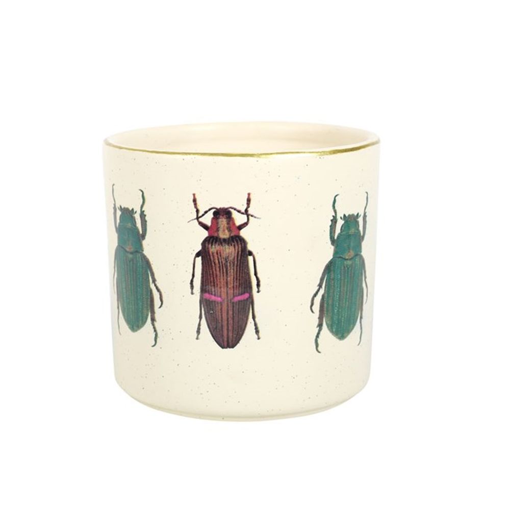 Off White Beetle Plant Pot