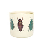 Off White Beetle Plant Pot