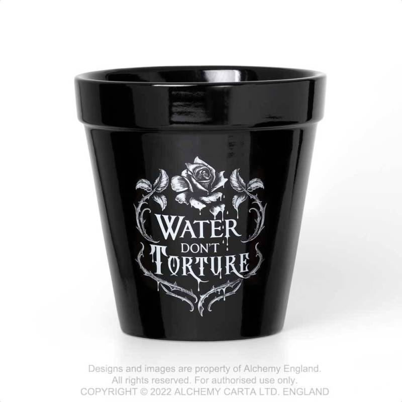 Water Don't Torture Plant Pot