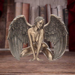 Angels Passion 17.5cm